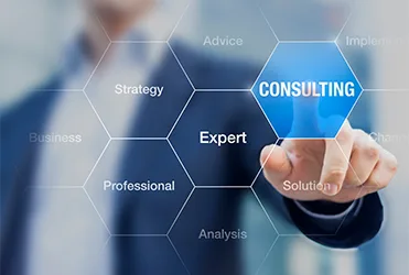 Consulting