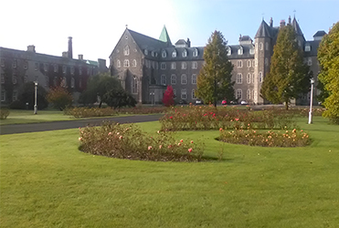 Maynooth University