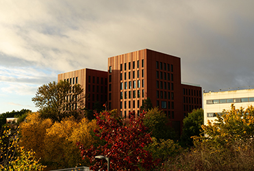 The University of Warrick